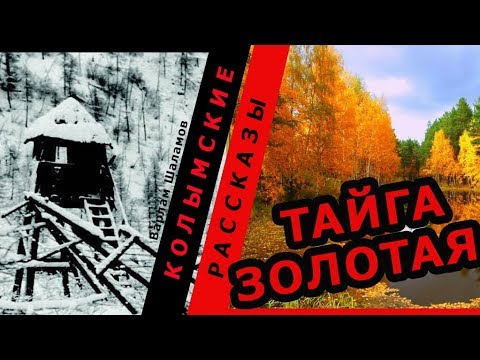 Колымские рассказы по снегу