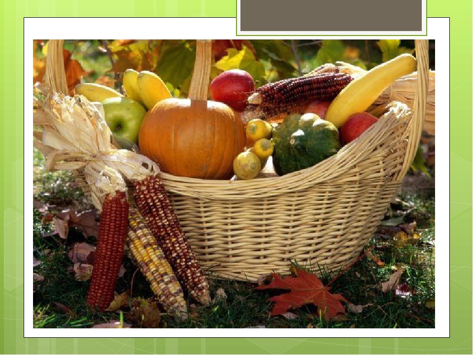 На счет урожая. Праздник урожая. Осенний урожай. Презентация на тему осенний урожай. Осень праздник урожая.