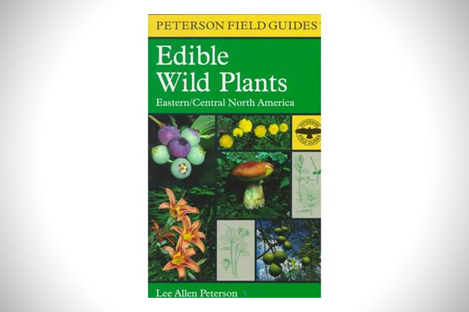 A Field Guide to Edible Wild Plants