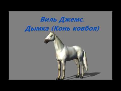 Книга Дымка Конь Ковбоя Купить В Спб