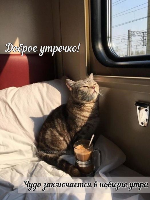 dad758b5171b8707e1db97bdbd9a4526