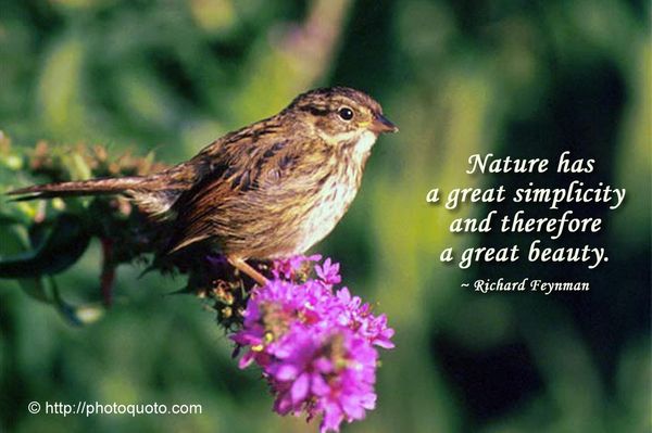 Beautiful Nature Pictures with Quotes 4 