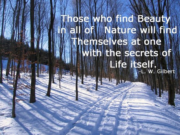 Beautiful Nature Pictures with Quotes 6