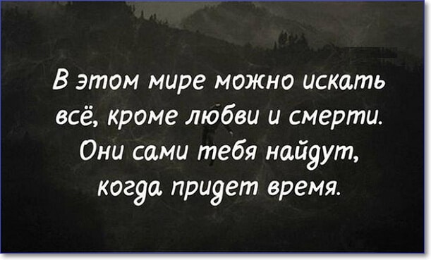 Прикольные и смешные картинки с надписями про жизнь (100 цитат)