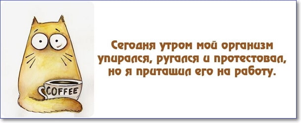 Прикольные и смешные картинки с надписями про жизнь (100 цитат)