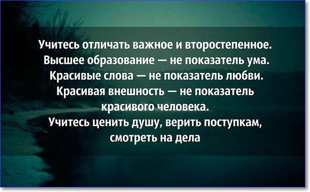 Прикольные и смешные картинки с надписями про жизнь (100 цитат)