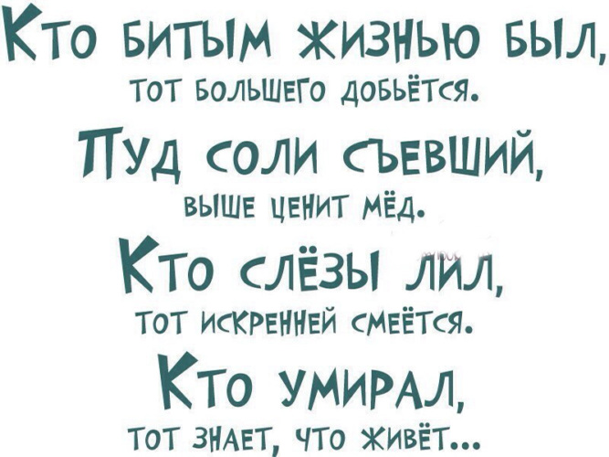 Кем быть в жизни. Кто битым жизнью был. Кто битым жизнью был тот. Кто битым жизнью был тот большего добьется. Кто жизнью бит.