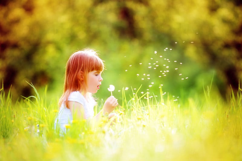 Girl blowing dandelion