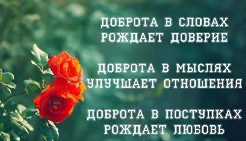 цитаты добро и доброта