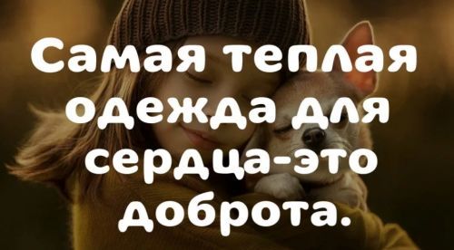 цитаты доброта с собачкой