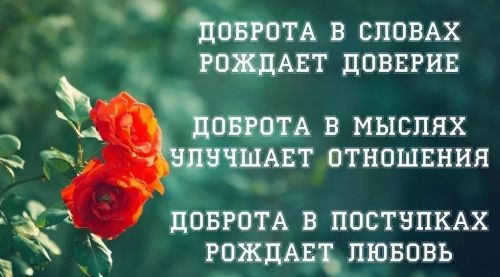 Доброта в словах