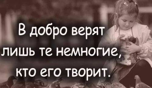 Твори добро для голубей