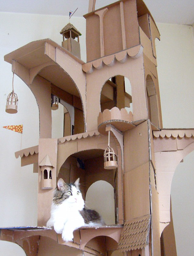 Cardboard cat castle.