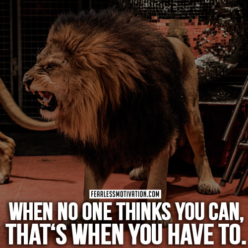 lion quotes