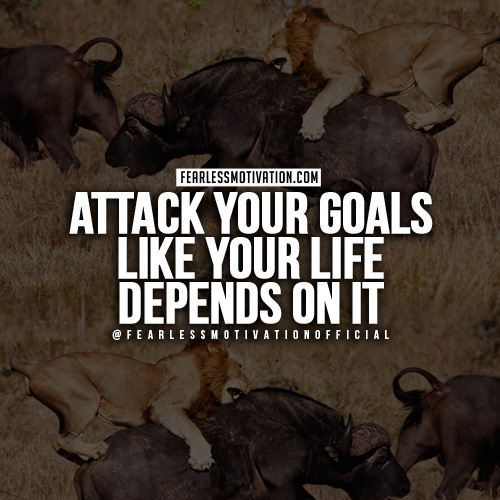 lion quotes in pictures