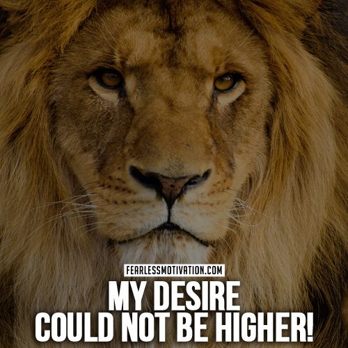lion quotes