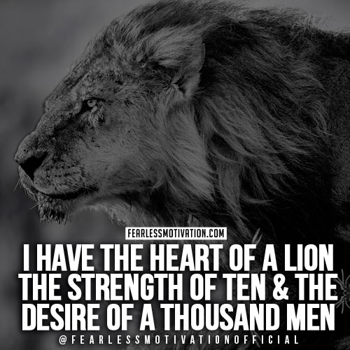 lion quotes in pictures