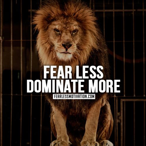lion quotes fear less dominate more