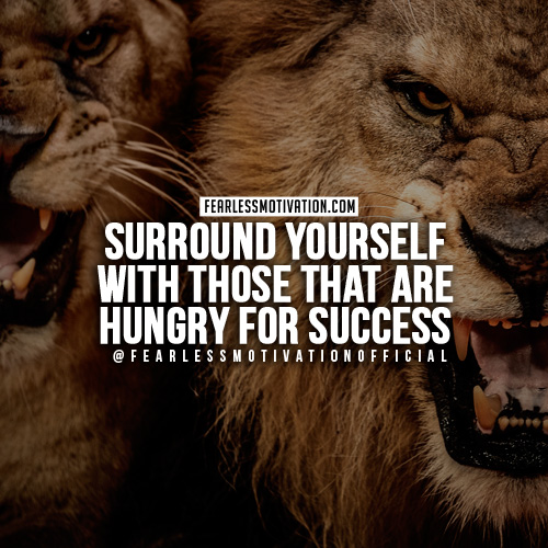 lion quotes-surround