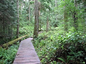 A mother daughter walk through the woods at Milner