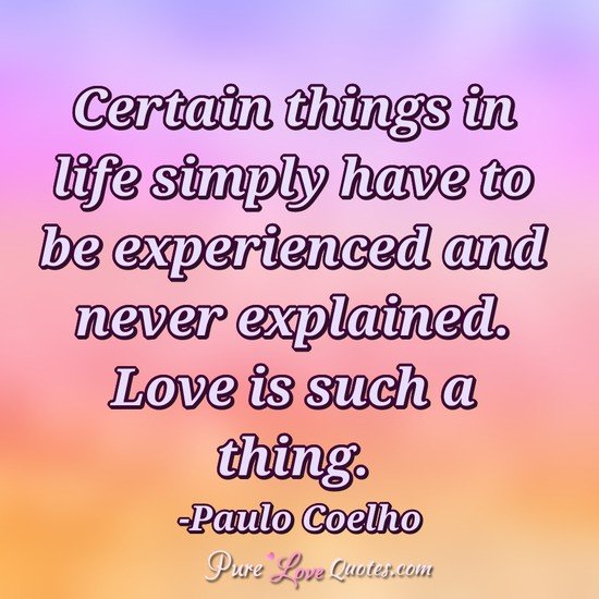 Certain things in life simply have to be experienced and never explained. Love is such a thing.