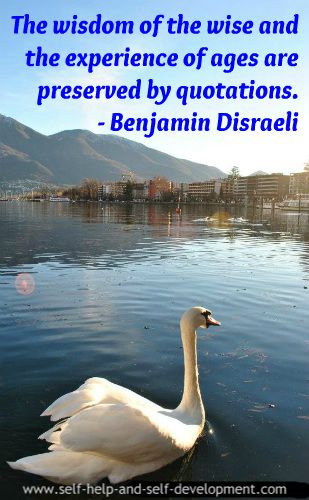 A famous quote by Benjamin Disraeli: The wisdom of the wise, and the experience of ages, may be preserved by quotations.